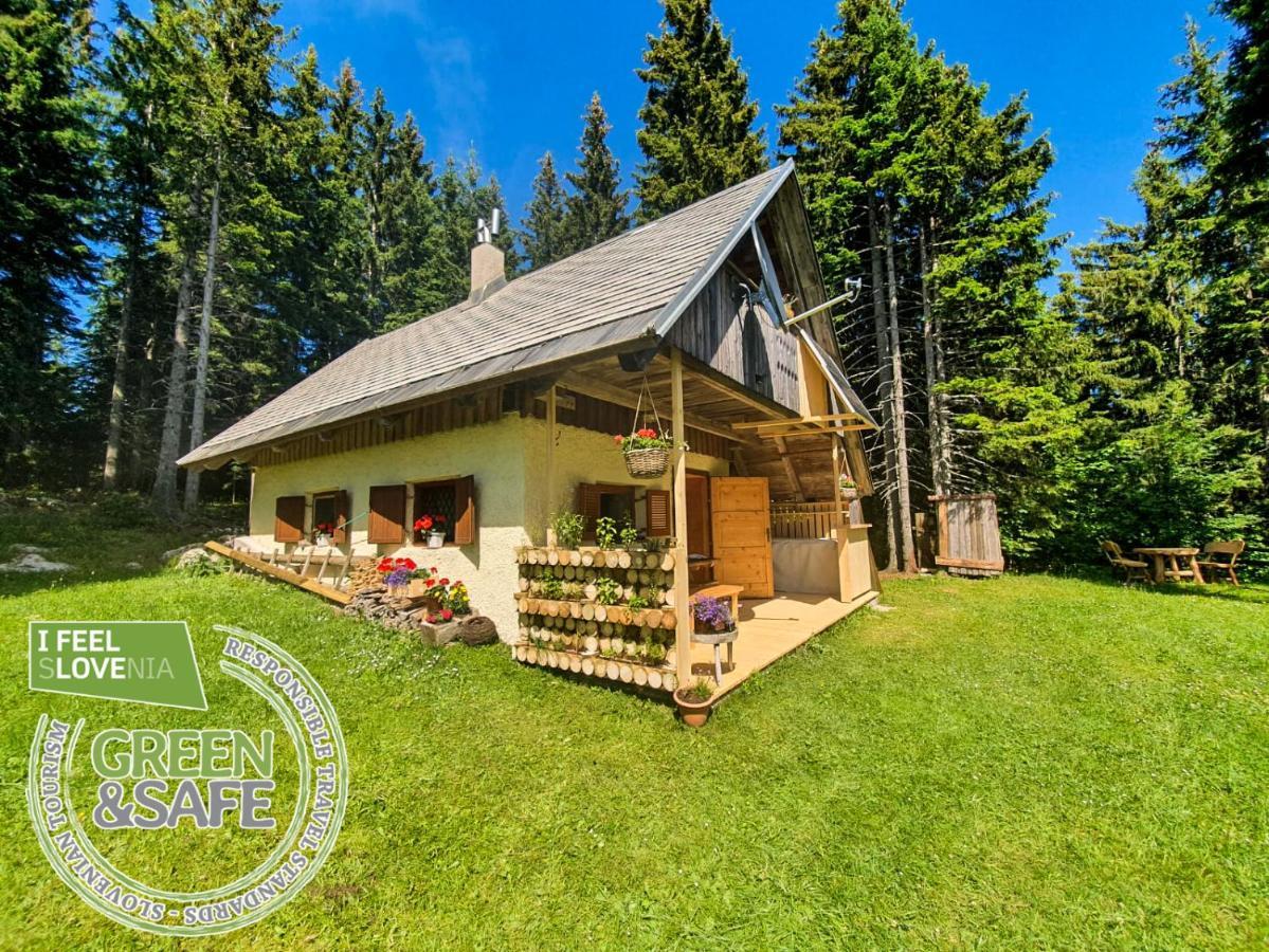 Mountain Eco Chalet Konjska Dolina On 1400 M Asl -Near Pokljuka Srednja Vas v Bohinju Exteriér fotografie
